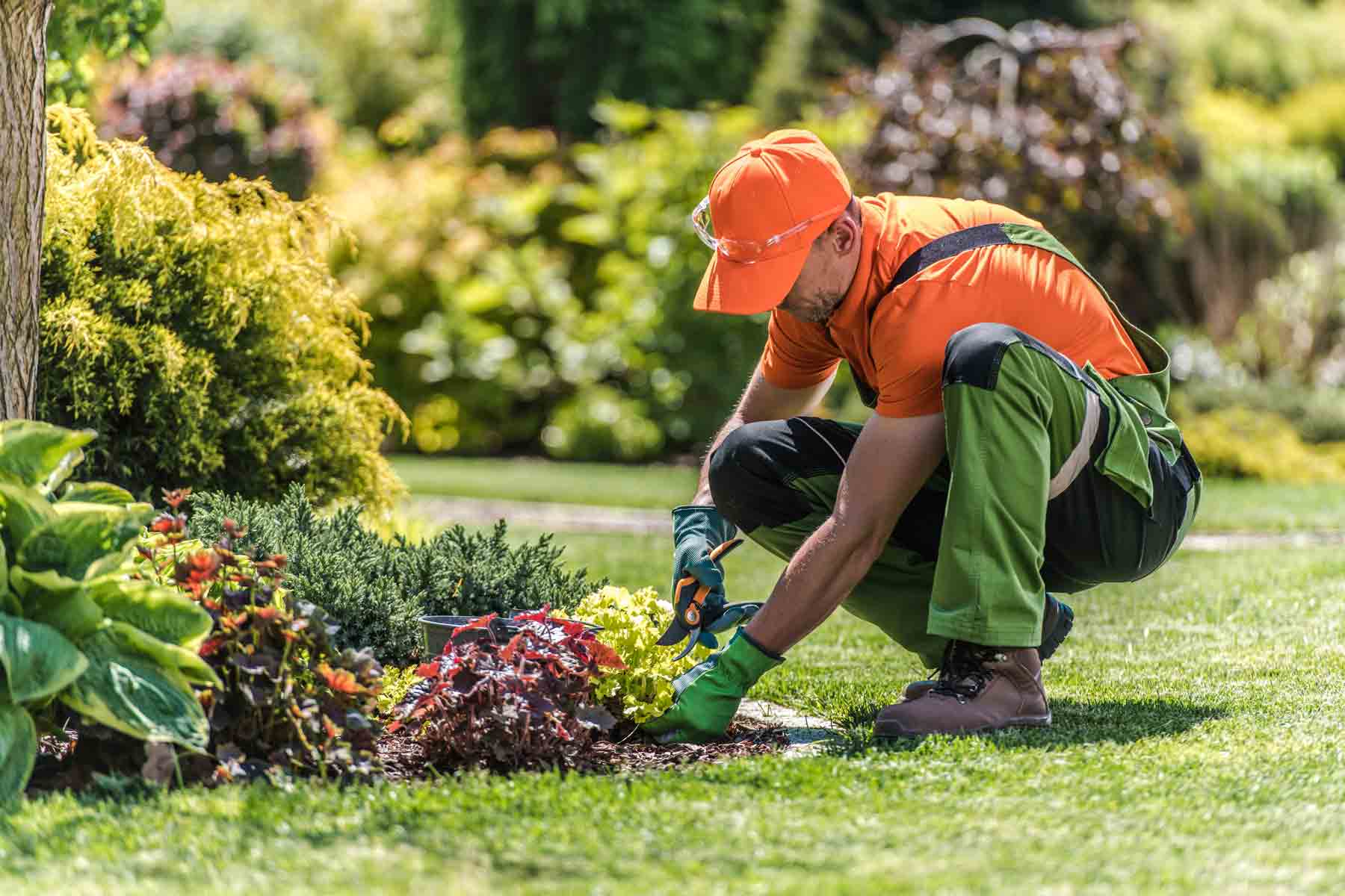 Landscaping professional trimming plants at a customer property